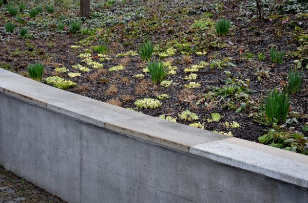 Concrete Wall Construction in Bend